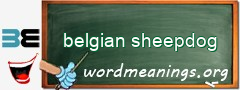 WordMeaning blackboard for belgian sheepdog